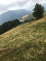 22 August 2020 vista S sentiero Alpe di Orimento-Barco dei Montoni-Monte Generoso.jpg