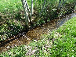 Ditches in Upper Swabia