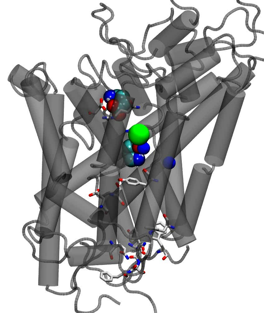 Molecular Dynamics Simulation