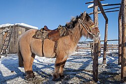 Оймякон, Якутия: здесь живут люди в минус 60 (53 фото) » Невседома