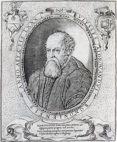 File:Aldrovandi, Ulisse – Ornithologia , 1603 – BEIC IE1210150 Aldrovandi Ulisse.jpg