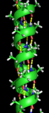 단백질의 구조: 단백질의 4가지 구조, 단백질 구조의 도메인, 모티프, 접힘, 단백질 역학