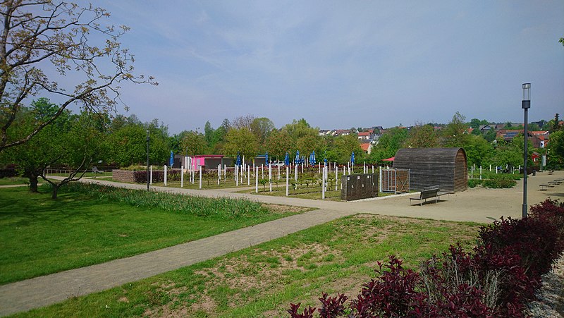 File:Alzenau Generationenpark2.jpg