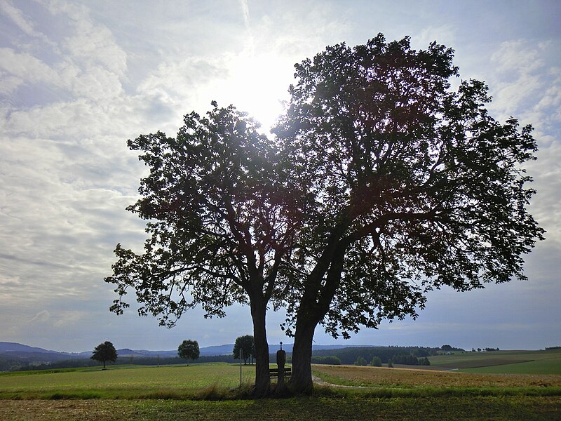 File:Am Kirchsteig 1 - panoramio.jpg