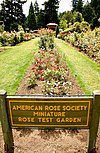 Một trong số các vườn trong Vườn Thí nghiệm Hoa hồng Quốc tế