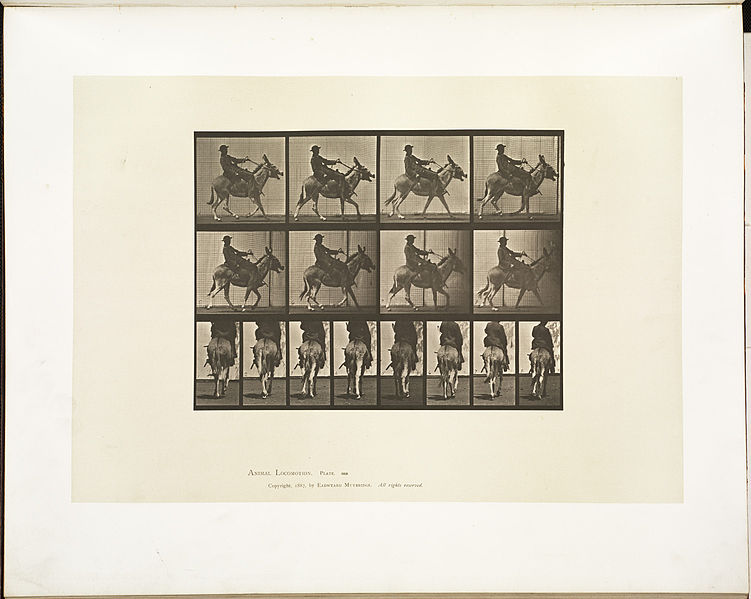 File:Animal locomotion. Plate 668 (Boston Public Library).jpg