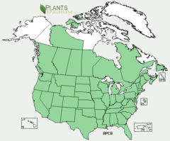 map of North America with most states. And provinces shaded green