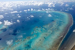 Arlington-Reef-2018-aerial-view-Luka-Peternel.jpg