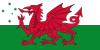 Australian Welsh-heritage flag.svg