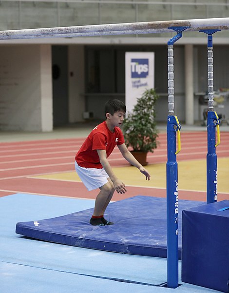 File:Austrian Future Cup 2018-11-23 Training Afternoon Parallel bars (Martin Rulsch) 0006.jpg