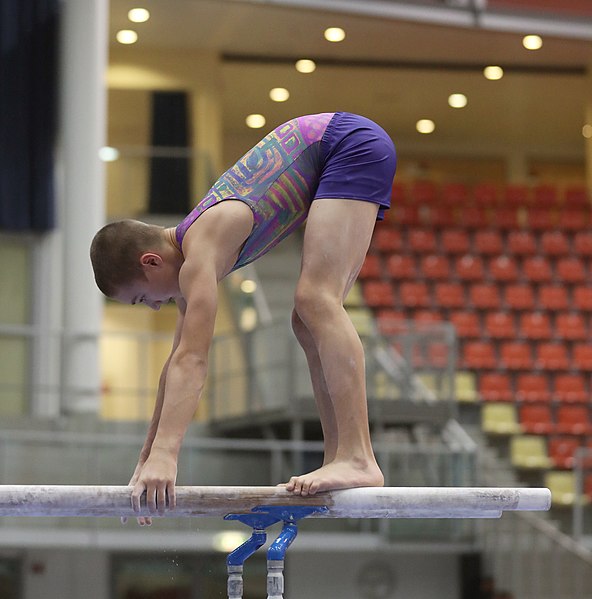 File:Austrian Future Cup 2018-11-23 Training Afternoon Parallel bars (Martin Rulsch) 0231.jpg