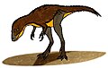 Infant Tyrannosaurus