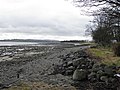 Ballylin Point - geograph.org.uk - 1757072.jpg