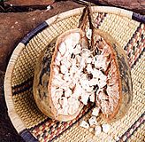 Baobab seeds.jpg