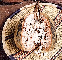 Baobab fruit, split open to show pulp containing seeds