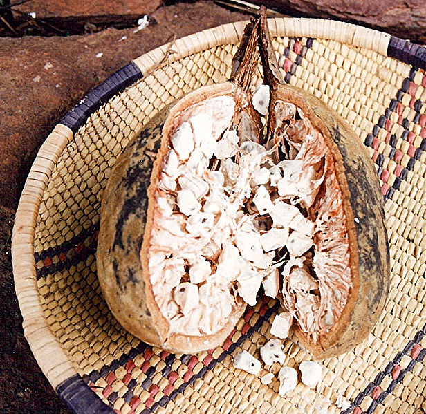 File:Baobab seeds.jpg