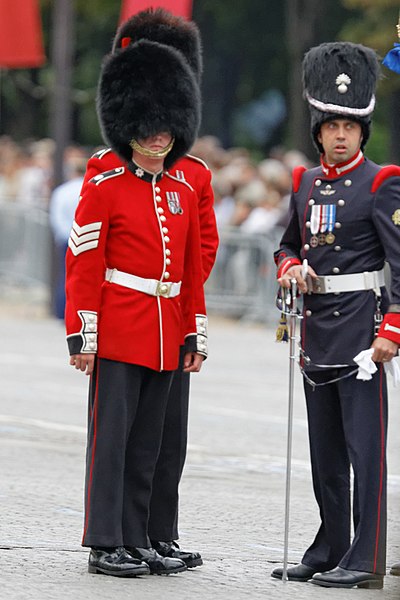 File:Bastille Day 2014 Paris - Color guards 003.jpg