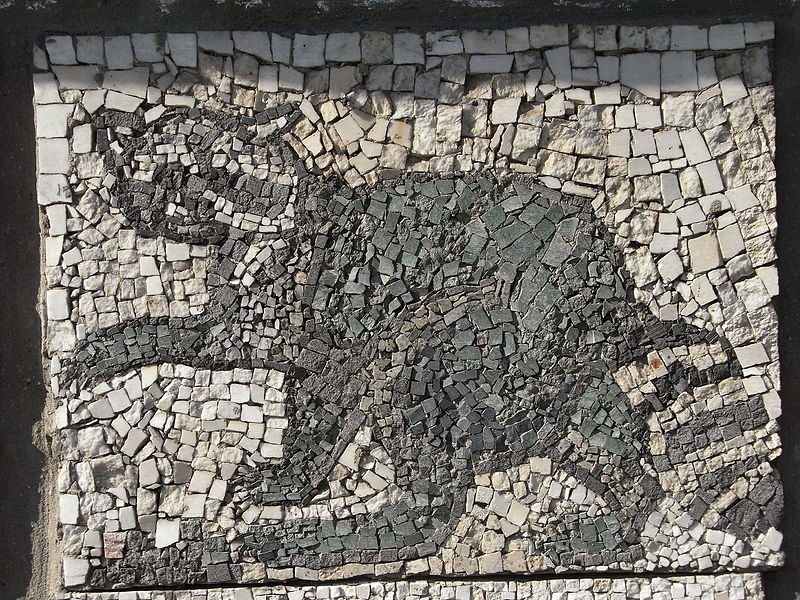 File:Belgrade zoo mosaic0205.JPG