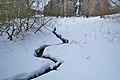 Bezejmenný přítok v přírodní rezervaci Lipovské úpolínové louky