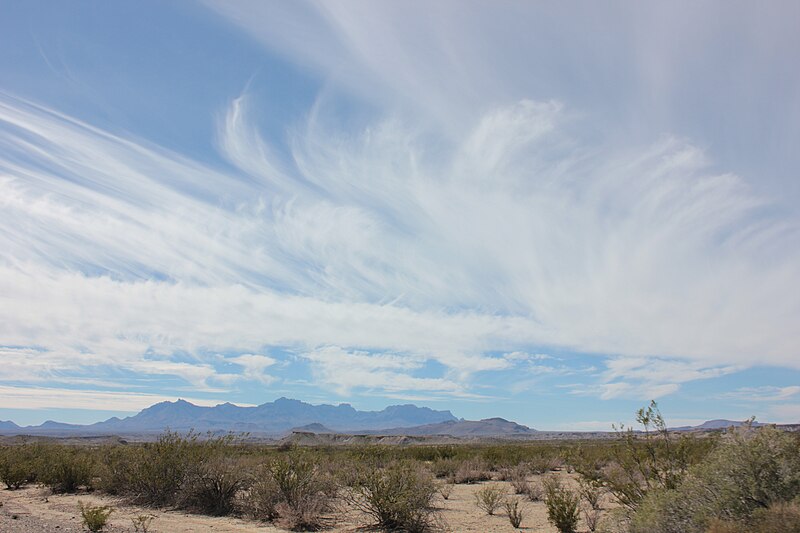 File:Big Bend National Park, Texas 195.JPG