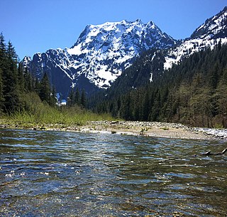 <span class="mw-page-title-main">Big Four Mountain</span> Mountain in Washington (state), United States