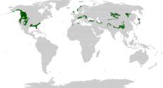 Biome map 05.svg