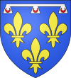 Blason des comtes d'Angoulême de la famille de Valois-Orléans