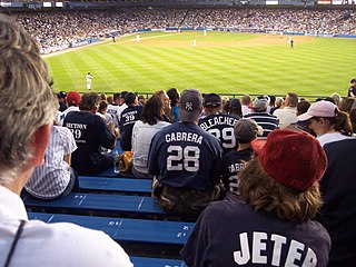 <span class="mw-page-title-main">Bleacher Creatures</span> Group of fans of the New York Yankees