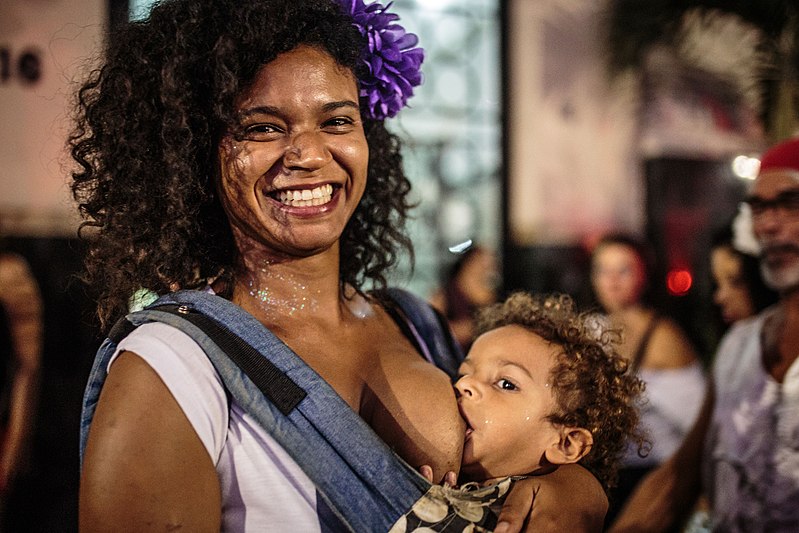 File:Bloco Popular Fora Temer - Otros Carnavales • 24-02-2017 • Rio de Janeiro (33088497186).jpg