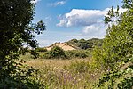 Vignette pour Braunton Burrows