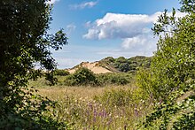 Braunton (Devon, Egyesült Királyság), Braunton Burrows - 2013 - 1837.jpg