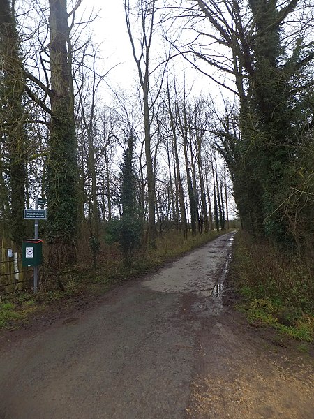 File:Bridleway to Litton - geograph.org.uk - 3276142.jpg