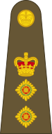 File:British Army OF-5.svg