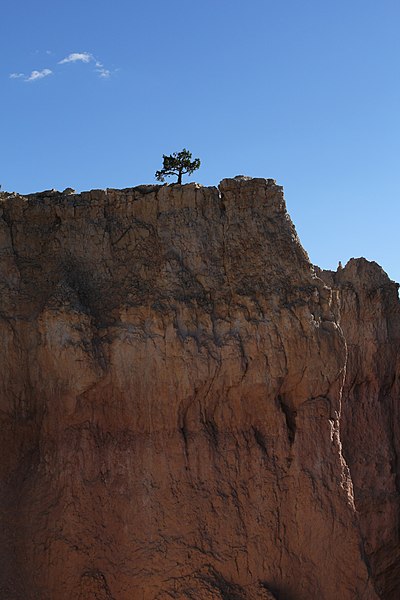 File:Bryce Canyon 5197 (14985266261).jpg