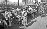 Bundesarchiv B 145 Bild-F016206-0003, Russland, Deportation von Juden