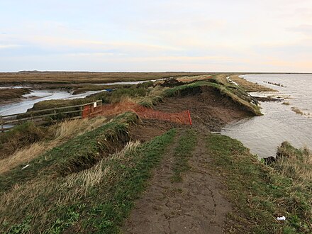 Breached sea dike at Burnham Norton, Norfolk. Seaward side left, with flooded land to the right.