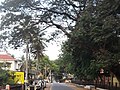 C.M.Road, Krishnarajanagara, Mysore, India.jpg