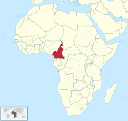 Cameroon in Africa.svg