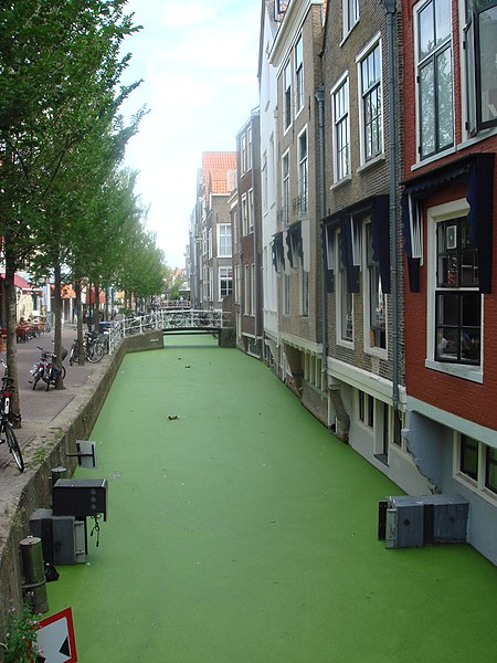 File:Canals in Delft.JPG