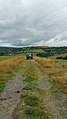 Cantal fields with a tractor.jpg
