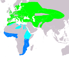 Mapa s rozšířením lelka lesního
