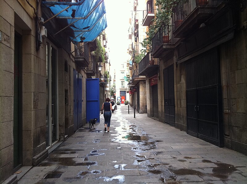 File:Carrer de la Vidrieria.jpg