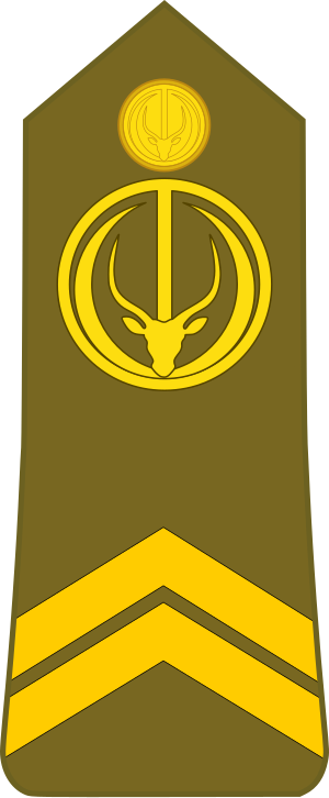 Chad-Army-OR-6.svg