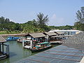 Changi Point Ferry Terminal