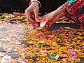 Children offering pattal diya in flower scattered water