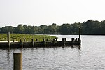 Choptank River