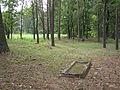 English: Cemetery in Ciesina Polski: Cmentarz w miejscowości Ciesina
