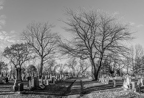 Cimetière Saint-Sauveur of Quebec ville, Canada