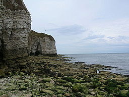 Klippor vid Flamborough Head.