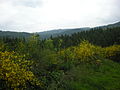 Vignette pour Col de Saales